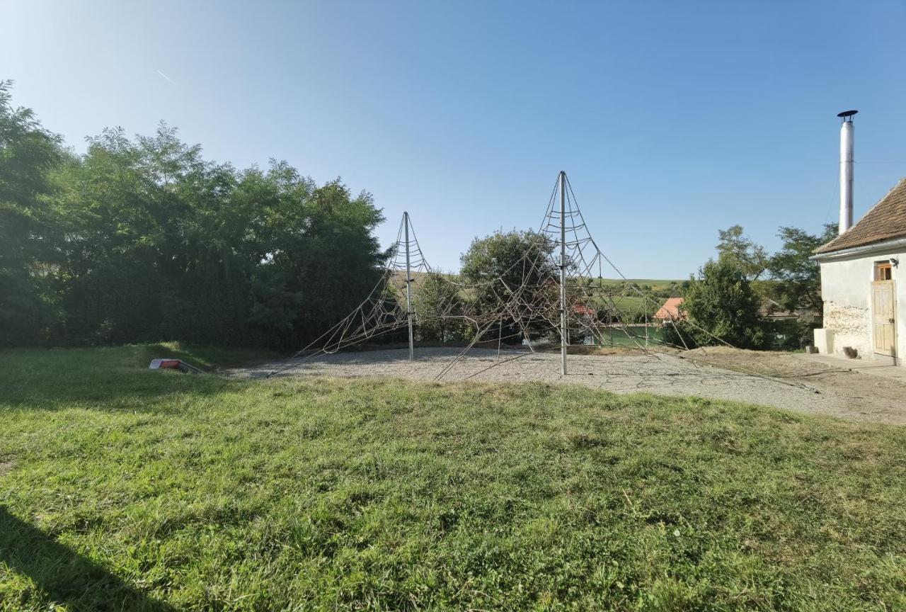 Kinderuni Bekokten Barcut Buitenkant foto