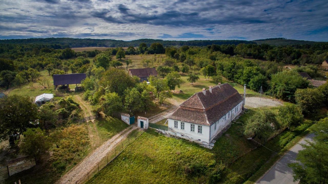 Kinderuni Bekokten Barcut Buitenkant foto